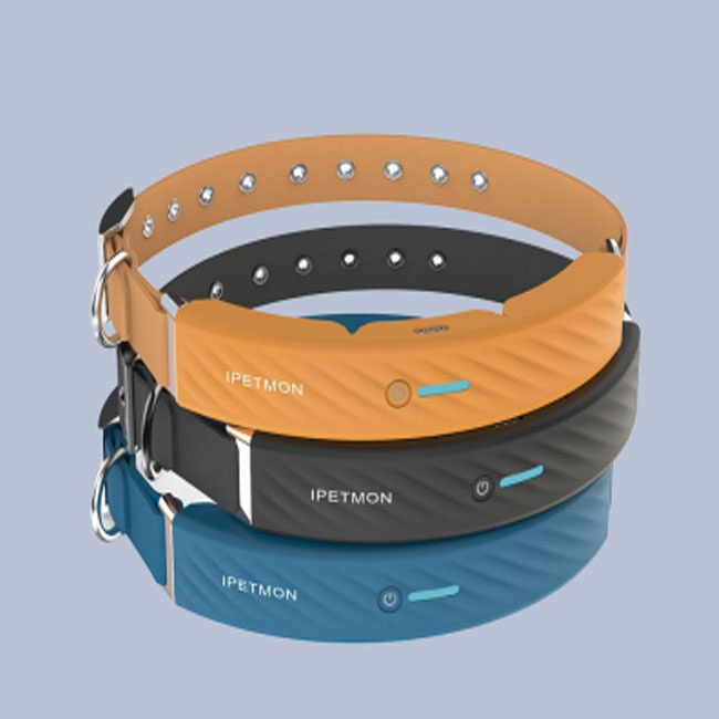Pet E-Fence-WiFi